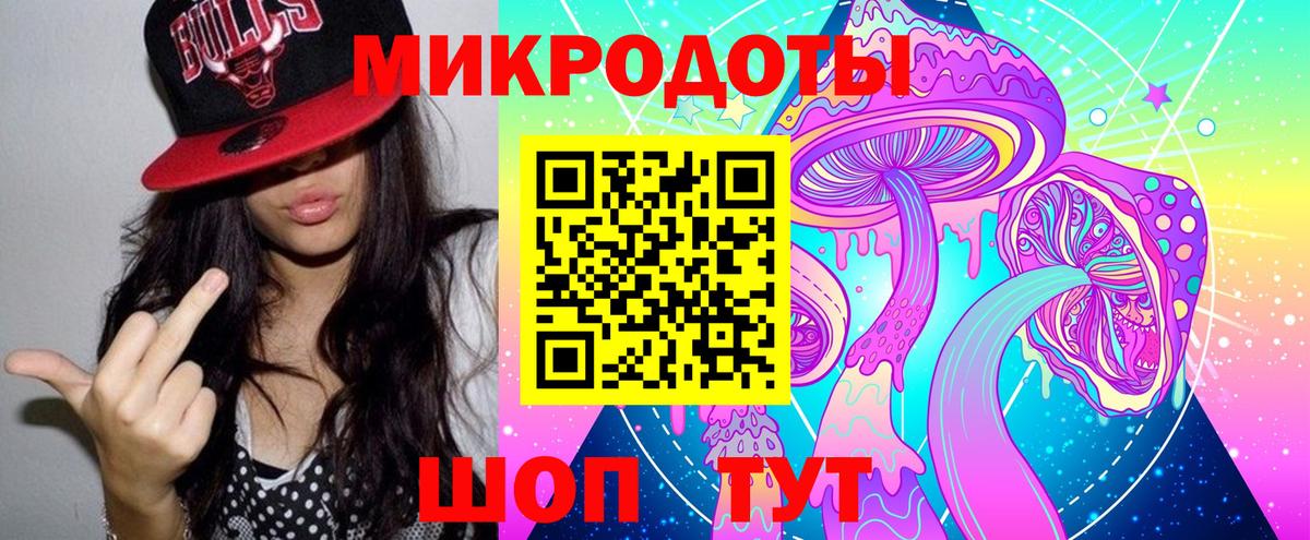 Галлюциногенные грибы Psilocybe Кропоткин