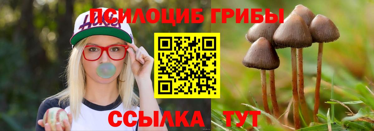 Псилоцибиновые грибы мицелий  Вход с VPN  Кропоткин 